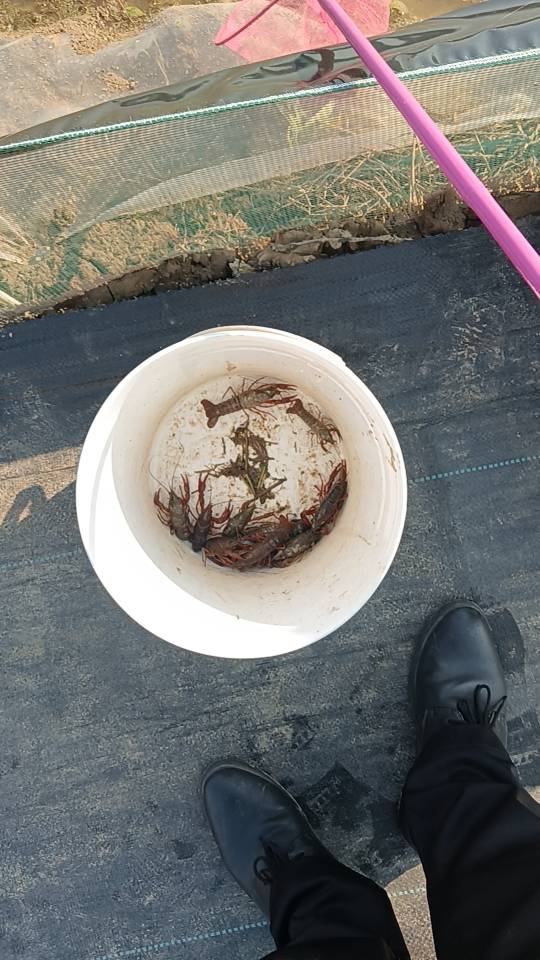 万志清